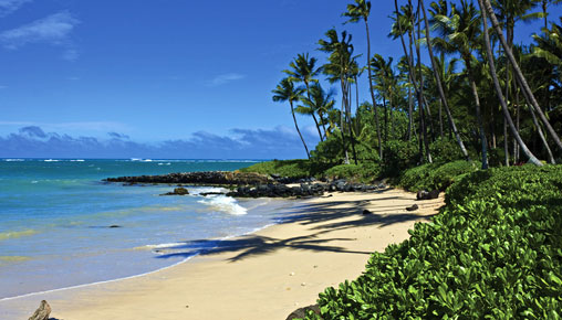 Angela Riservato Marriott Timeshare Testimonial