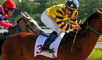 Kentucky Derby race underway. Customize your own Kentucky Derby specialty package.